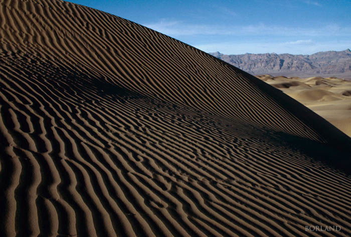 Sand dune photography