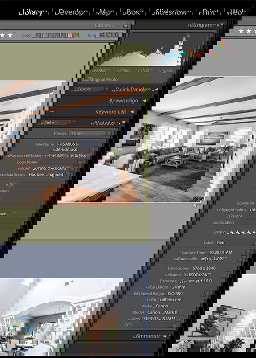 A screenshot showing the metadata and keywords of photos in Lightroom 