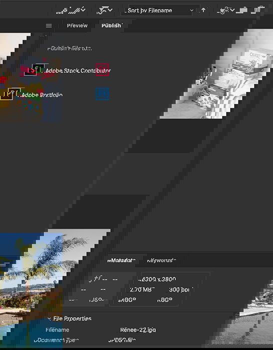 Adobe Bridge allows you to quickly and easily publish files to Adobe Stock or Portfolio.