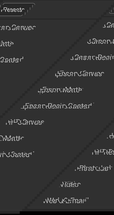 ON1 Resize AI screenshot printing presets